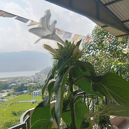 Gautam Garden Guest House ポカラ エクステリア 写真