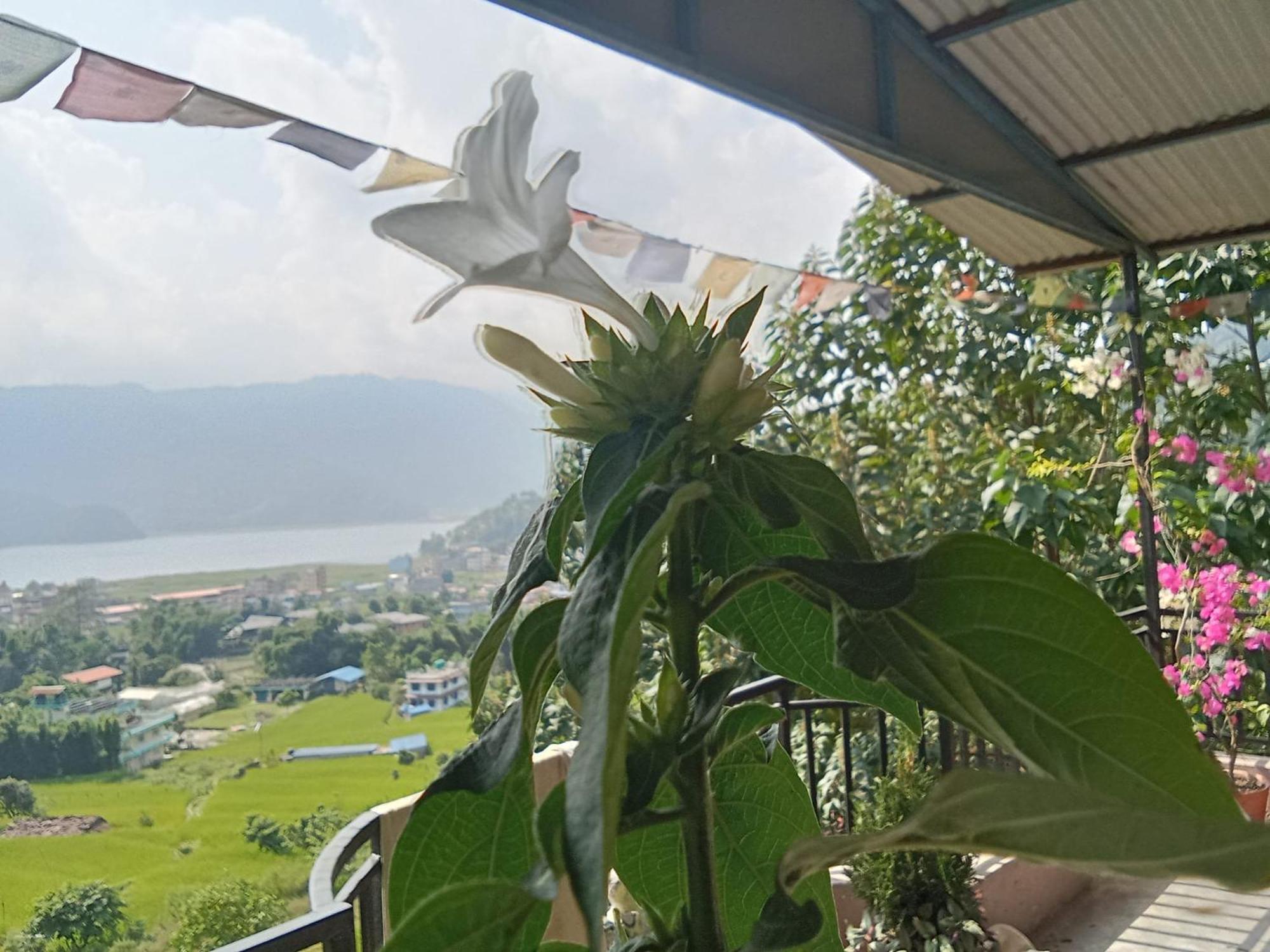 Gautam Garden Guest House ポカラ エクステリア 写真