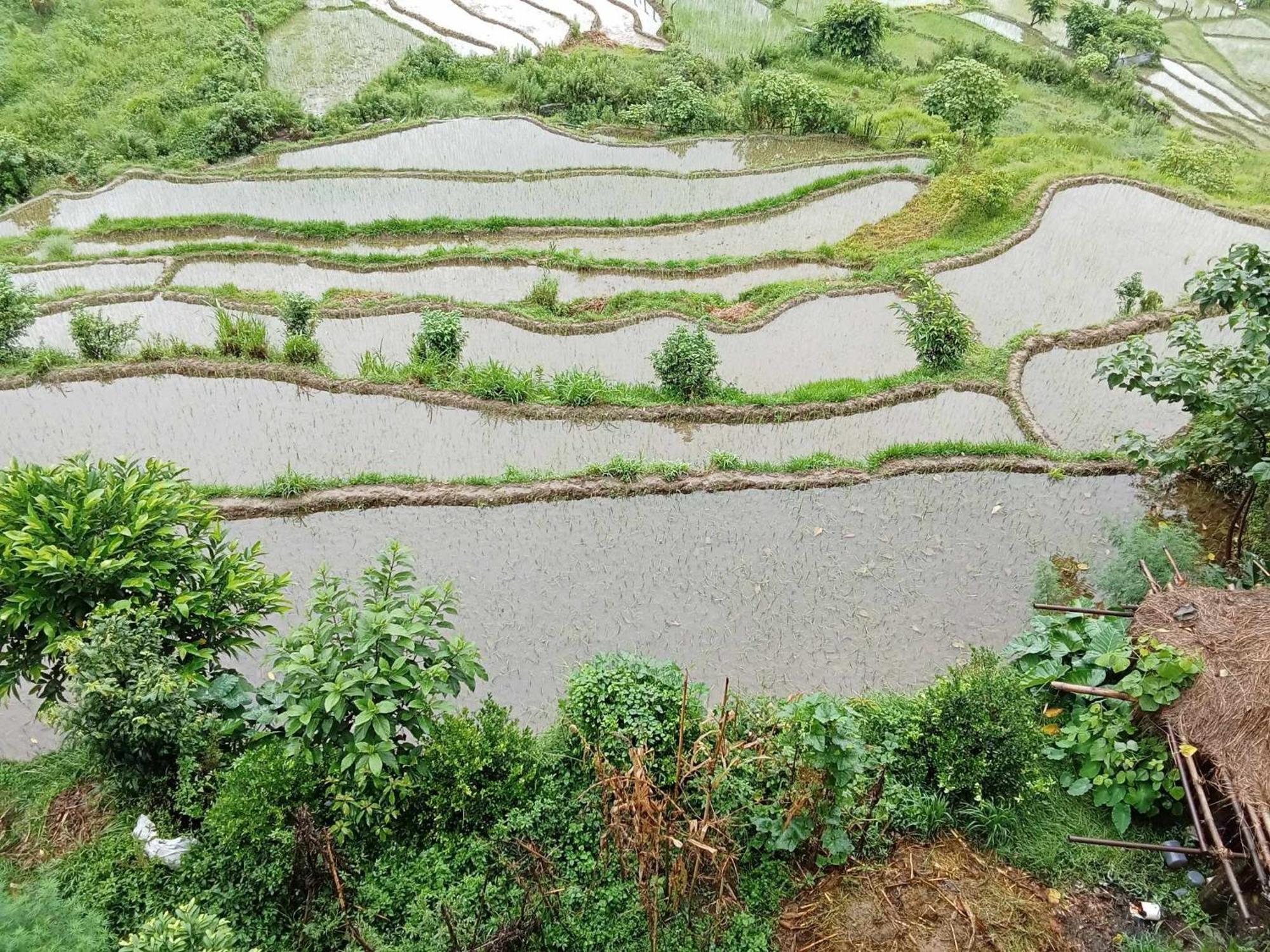 Gautam Garden Guest House ポカラ エクステリア 写真
