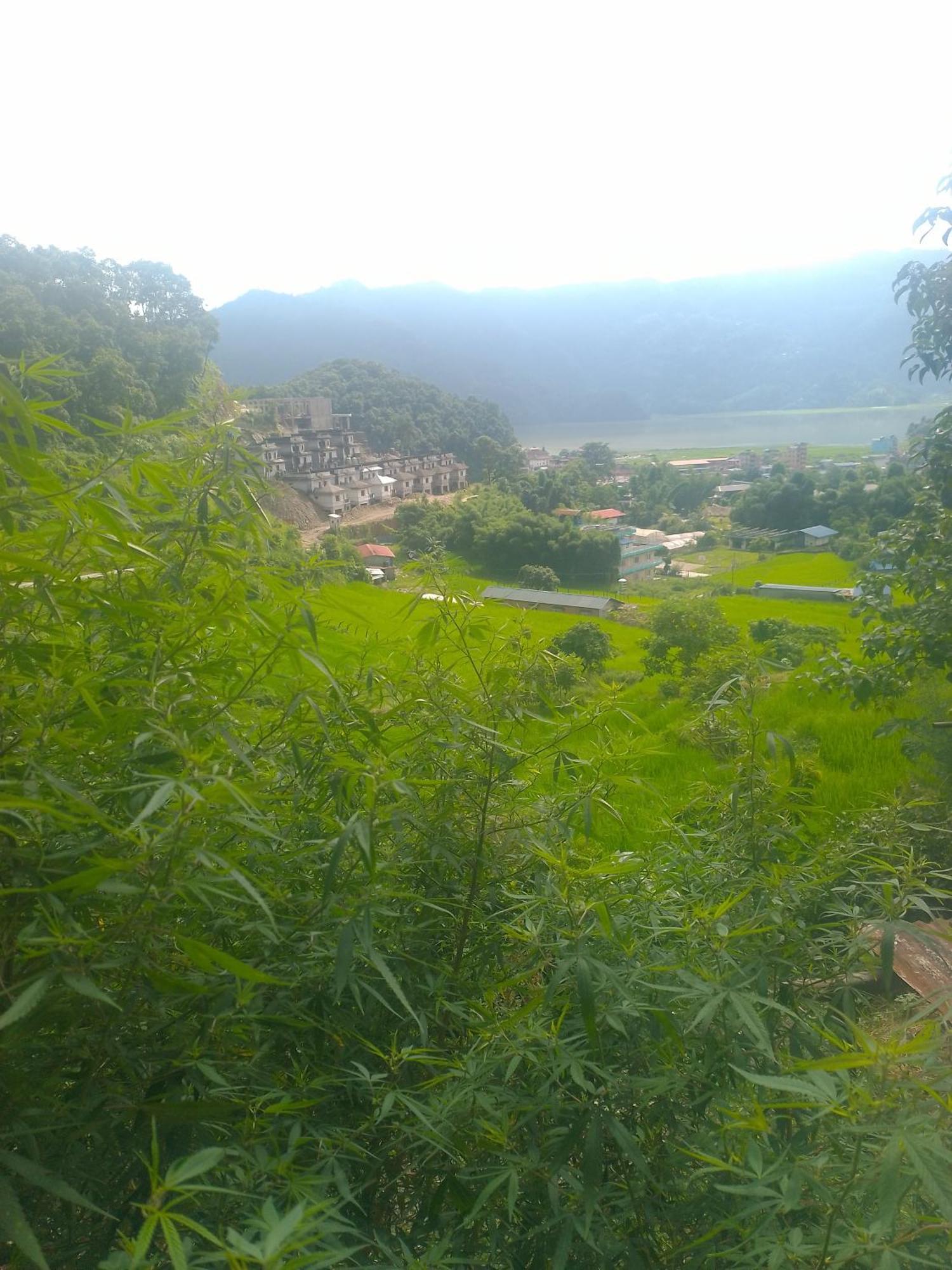 Gautam Garden Guest House ポカラ エクステリア 写真